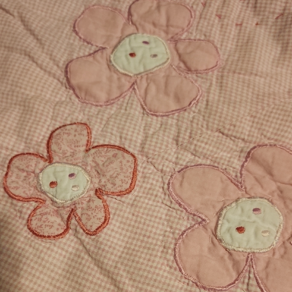 Pottery Barn Kids Quilt With Butterflies & Flowers with 2 Shams - Picture 2 of 15